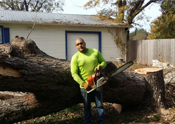 A man holding a chain saw in front of a tree.